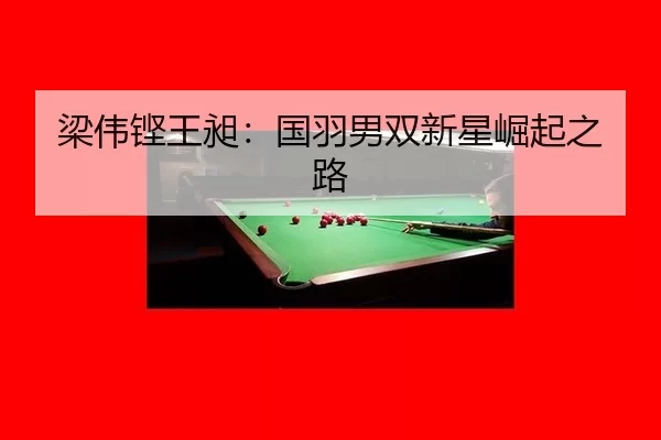 梁伟铿王昶：国羽男双新星崛起之路 | kaiyun app